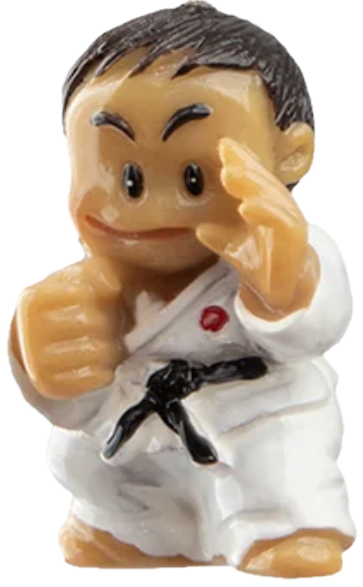 Dash the Kooshie — a small karate figurine
